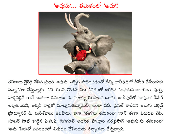 ravi babu,telugu movie avunu,avunu in bollywood,suresh babu,avunu in tamil as aama  ravi babu, telugu movie avunu, avunu in bollywood, suresh babu, avunu in tamil as aama